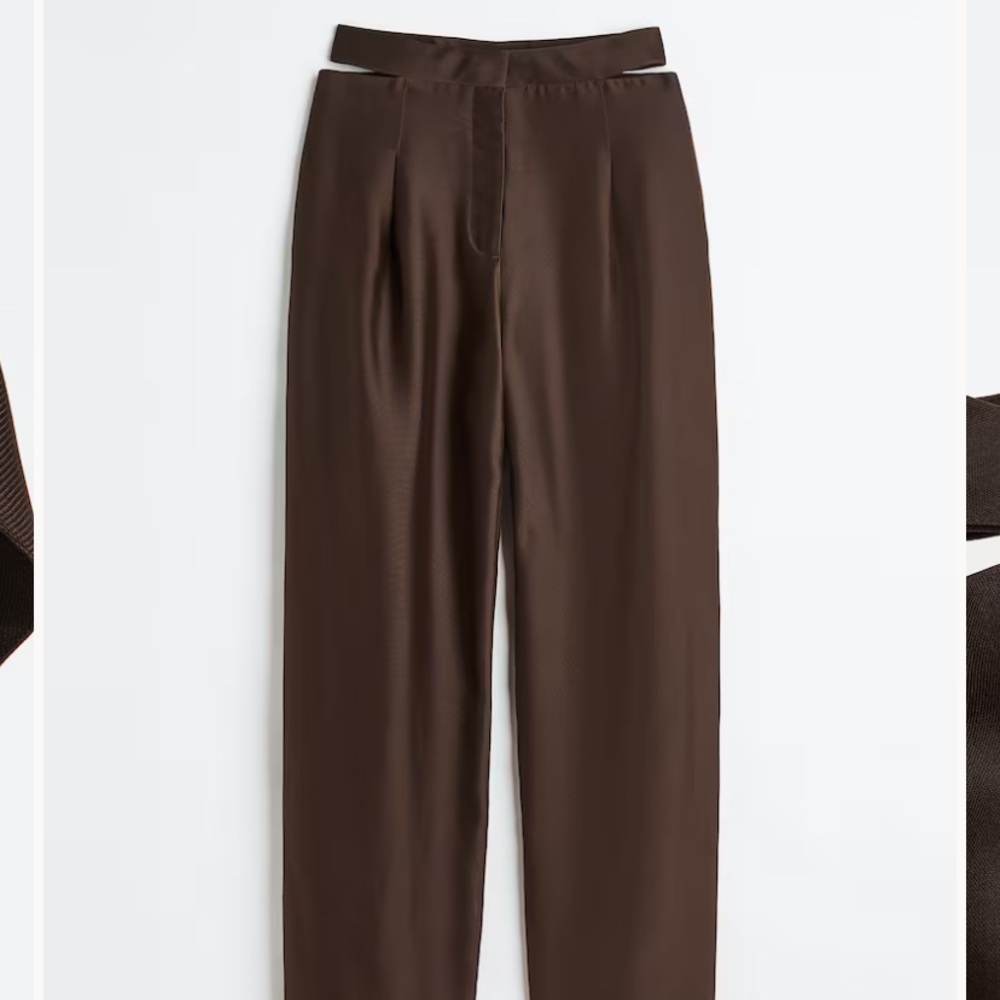 ISO H&M Mahogany Pants